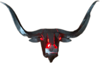 Long-Horn-Steer