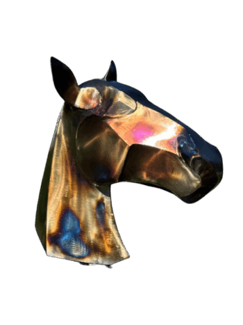 Horse Head